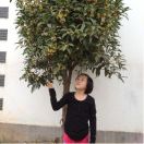 徽州尔雅