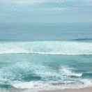 金田装饰材料，阿再13805820182