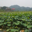 欧扬清风
