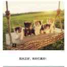 water 里的鱼