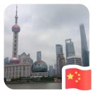 雨下的芭蕉树