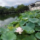金色童年兒童攝影