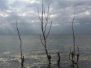 http://thirdwx.qlogo.cn/mmopen/vi_32/Q0j4TwGTfTIiahUoerpp5WFoskytCupSgQoa7XAQk3afwh5gXdicuicsuUcAy62jPibodrHcUl6HRnBITQhWQMSaGw/132