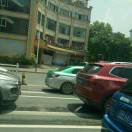 芒果爱上西红柿