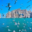 海阔天空
