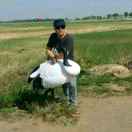 玉柴，珀金斯发动机