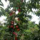 酒逢知己千杯不醉