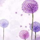 书友20180319214432