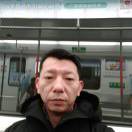 林53858