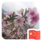 海岸線(xiàn)921