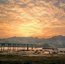 yingjun120518