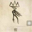 崔鑫