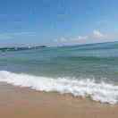 A13544210666彭国辉