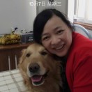 侍行华的头像