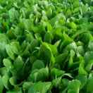 陈云峰13081128701