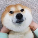 fj_78's Avatar