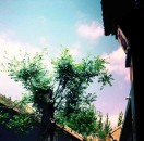 kuntor's Avatar