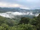 大山的头像