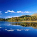 小树苗（鸟）（沈俭）