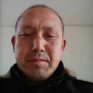 草原雄鷹
