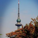 券妈妈会员: cilin