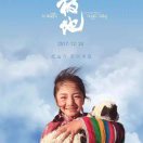 广西东腾林业