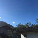 点到为知