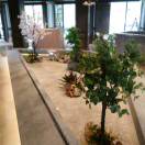 今生有您就足够