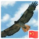 天地人和