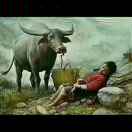 审  判 长