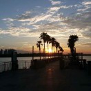 Harbor