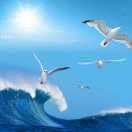 海是倒过来的天9967