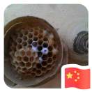 宇魚數(shù)碼影像