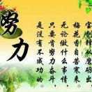 ._麦田守望者
