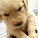 书友20180318030316