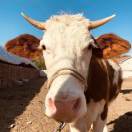 liu273646790的头像-951博客