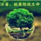 貝得偉