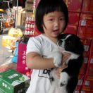 华兴烟酒饮料副食品批发部