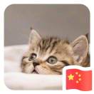 http://thirdwx.qlogo.cn/mmopen/vi_32/Q0j4TwGTfTK1ZNSQO2Xiaja5gAD29jnAa6ZnYCYnHrAnQtFSfIQqd9dicMcUwjdAiaSfyjLNDAkbI04ibD4VW4jsyw/132