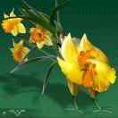 镇安.木门.衣柜厂13324671988