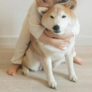 江户川柯娃