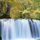 高山流水13963672153汽车钣金