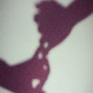 AA张世源 茶叶