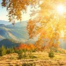 山高人为峰21324