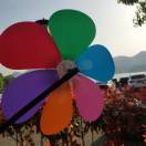 胡腾飞17364002262