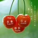 曉得