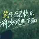 光头强先森