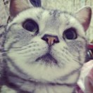 yinwb's Avatar