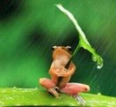 小樓聽雨