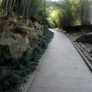 跳